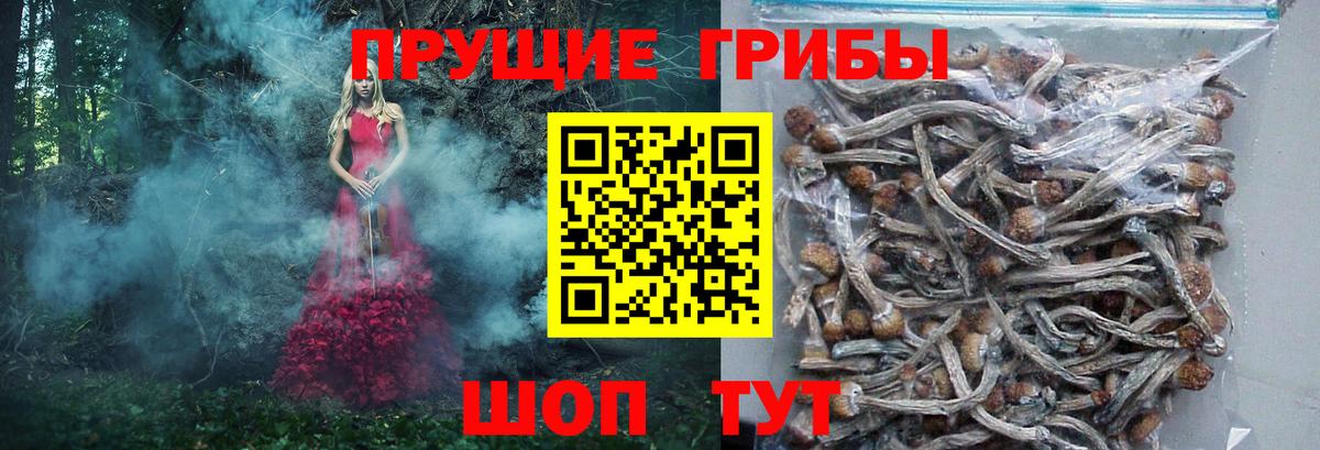 Псилоцибиновые грибы мухоморы Дубна